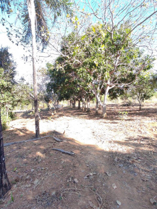 Imagem Chácara à Venda, 5.000 m² em Parque Las Vegas - Bela Vista De Goiás Imagem Chácara à Venda, 5.000 m² em Parque Las Vegas - Bela Vista De Goiás