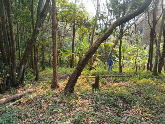 Imagem Chácara com 3 Quartos à Venda, 4.000 m² em Mato Dentro - Mairiporã Imagem Chácara com 3 Quartos à Venda, 4.000 m² em Mato Dentro - Mairiporã