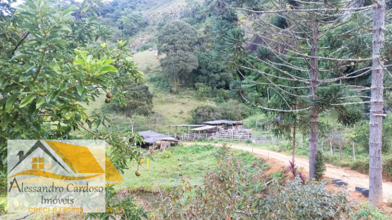 Imagem Chácara com 3 Quartos à Venda, 146.000 m²