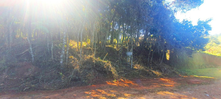 Imagem Imóvel à Venda, 700 m² em Recanto Dos Palmares - Atibaia