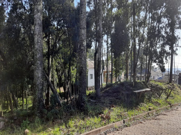 Terreno à Venda, 811 m² em Germânia - Nova Petrópolis