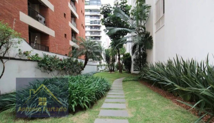 Imagem Apartamento com 3 Quartos à Venda, 117 m² em Indianópolis - São Paulo Imagem Apartamento com 3 Quartos à Venda, 117 m² em Indianópolis - São Paulo