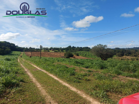Imagem Chácara com 3 Quartos à Venda, em Viamão Imagem Chácara com 3 Quartos à Venda, em Viamão