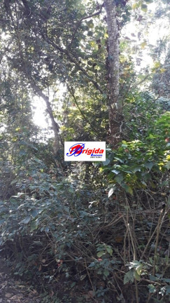 Imagem Terreno em Condomínio à Venda, 2 m² em Jardim São Vicente - Cotia Imagem Terreno em Condomínio à Venda, 2 m² em Jardim São Vicente - Cotia