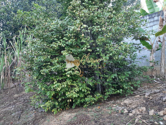 Imagem Chácara com 3 Quartos à Venda, 4.400 m² em Itororó - Embu-guaçu Imagem Chácara com 3 Quartos à Venda, 4.400 m² em Itororó - Embu-guaçu