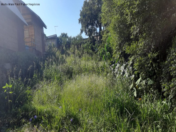 Imagem Terreno à Venda, 420 m² em Vale Verde - Nova Petrópolis Imagem Terreno à Venda, 420 m² em Vale Verde - Nova Petrópolis