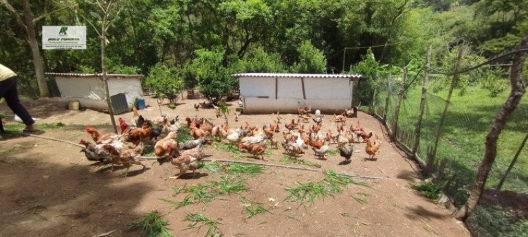 Imagem Fazenda à Venda, 5.000 m² em Alto Da Serra - São Roque