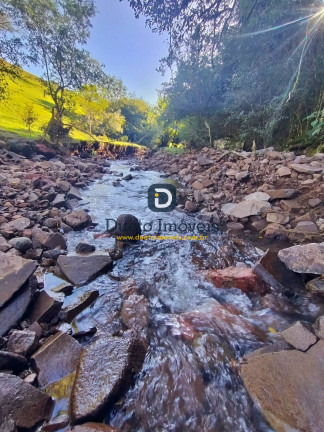 Imagem Chácara com 3 Quartos à Venda,  em São Pedro Do Sul