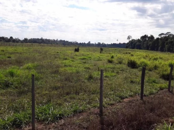 Imagem Fazenda à Venda, 28 m² em Chácara De Lazer Monaliza - Sinop Imagem Fazenda à Venda, 28 m² em Chácara De Lazer Monaliza - Sinop