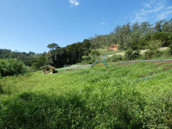 Imagem Imóvel com 3 Quartos para Alugar, 72.000 m² em Granja Mafra - Teresópolis