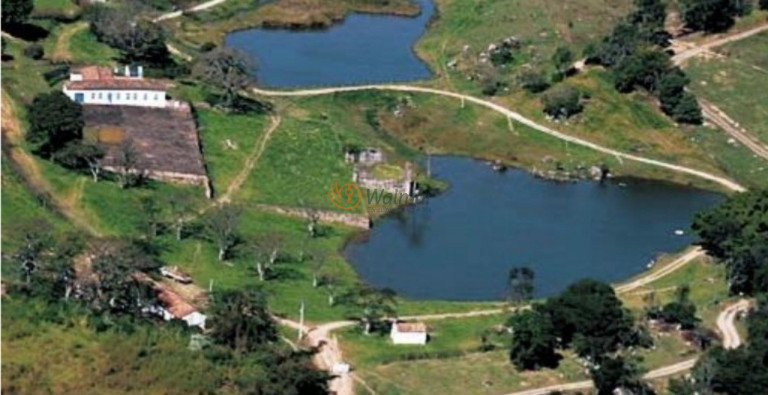 Imagem Imóvel com 16 Quartos à Venda, 550 m² em Zona Rural - Pedreira Imagem Imóvel com 16 Quartos à Venda, 550 m² em Zona Rural - Pedreira