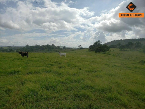 Imóvel com 3 Quartos à Venda, 784.080 m² em Candeias - São Sebastião Do Passé