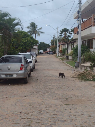 Imagem Casa com 2 Quartos à Venda, 100 m² em Centro De Tibau Do Sul - Tibau Do Sul