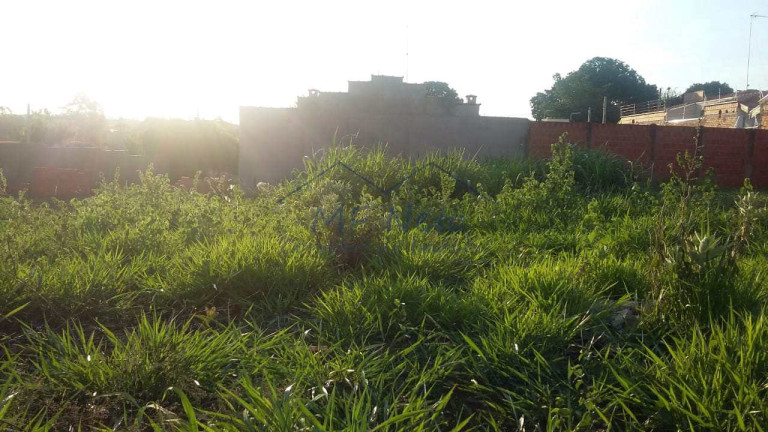 Imagem Terreno à Venda, 250 m² em Jardim Treviso - Pirassununga Imagem Terreno à Venda, 250 m² em Jardim Treviso - Pirassununga