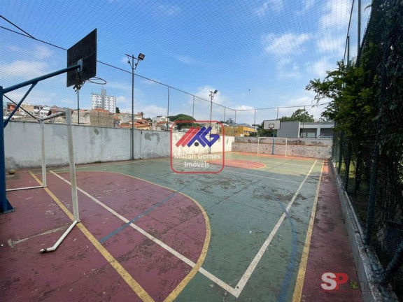 Imagem Apartamento com 3 Quartos à Venda, 70 m² em Vila Esperança - São Paulo Imagem Apartamento com 3 Quartos à Venda, 70 m² em Vila Esperança - São Paulo