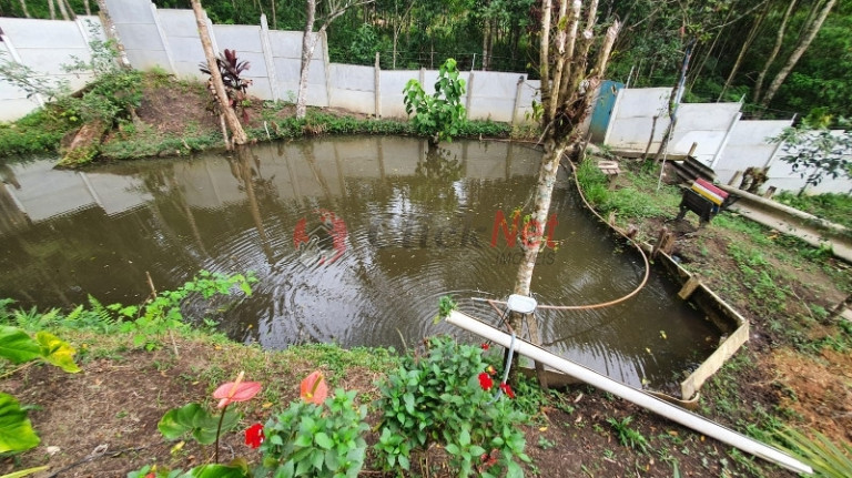 Imagem Imóvel com 3 Quartos à Venda, 248 m² em Rio Grande - São Bernardo Do Campo Imagem Imóvel com 3 Quartos à Venda, 248 m² em Rio Grande - São Bernardo Do Campo