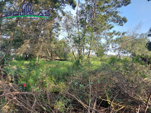 Imagem Terreno à Venda, 700 m² em Viamão Imagem Terreno à Venda, 700 m² em Viamão