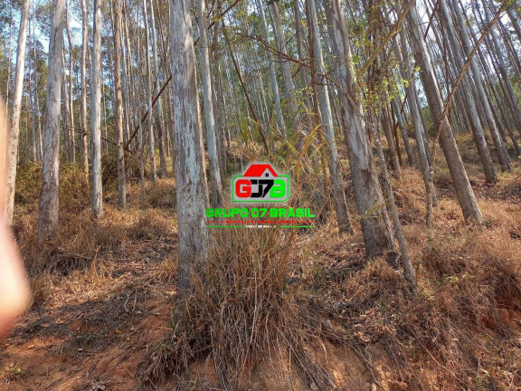 Imagem Fazenda à Venda, 337 m² em Centro - Areias Imagem Fazenda à Venda, 337 m² em Centro - Areias