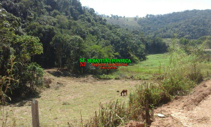 Imagem Chácara à Venda, 6.000 m² em Bairro Dos Pinheiros - Natividade Da Serra Imagem Chácara à Venda, 6.000 m² em Bairro Dos Pinheiros - Natividade Da Serra