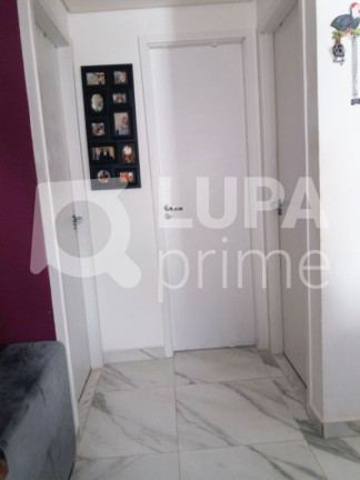 Imagem Apartamento com 2 Quartos à Venda, 48 m² em Jardim Ansalca - Guarulhos Imagem Apartamento com 2 Quartos à Venda, 48 m² em Jardim Ansalca - Guarulhos