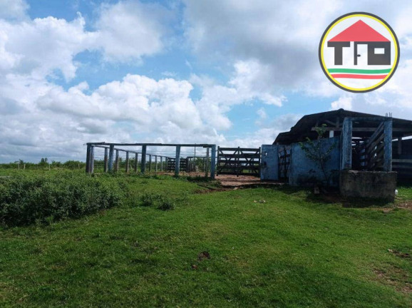 Imagem Fazenda à Venda, 16.456.000 m² em Zona Rural - Bom Jesus Do Tocantins