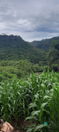 Imagem Imóvel à Venda, 130.932 m² em Zona Rural - Alfredo Wagner Imagem Imóvel à Venda, 130.932 m² em Zona Rural - Alfredo Wagner
