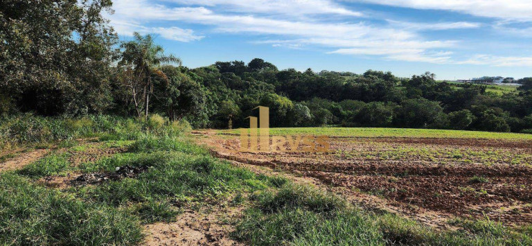 Fazenda à Venda, 291.613 m² em Porto Feliz - Sorocaba - Porto Feliz