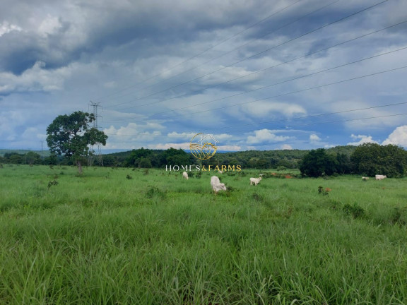 Imóvel com 3 Quartos à Venda, 45.500 m² em Zona Rural - Minaçu