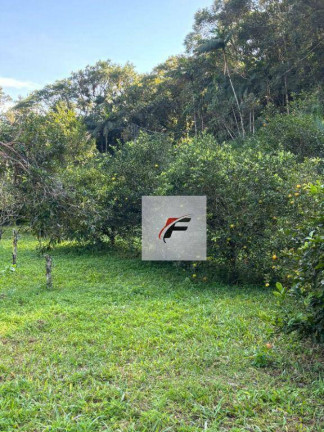 Imagem Chácara com 3 Quartos à Venda, 120.000 m² em Centro - Morretes