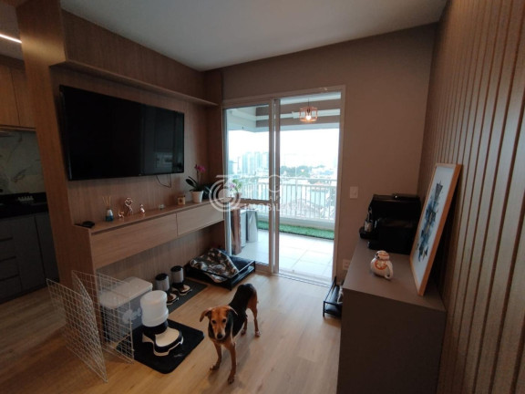 Imagem Apartamento com 3 Quartos à Venda, 75 m² em Vila Apiaí - Santo André Imagem Apartamento com 3 Quartos à Venda, 75 m² em Vila Apiaí - Santo André