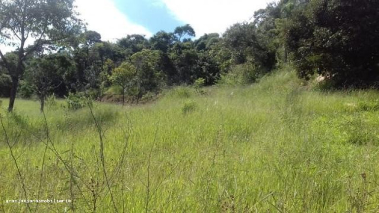 Imagem Chácara à Venda, em Bairro Jardim Brasília - São Roque Imagem Chácara à Venda, em Bairro Jardim Brasília - São Roque