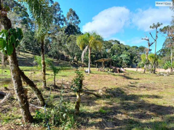 Imagem Imóvel à Venda, 8.000 m² em Zona Rural - Quatro Barras Imagem Imóvel à Venda, 8.000 m² em Zona Rural - Quatro Barras