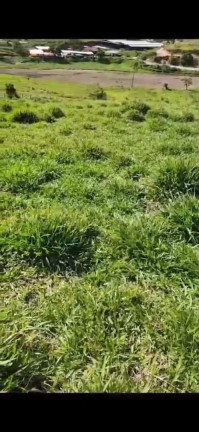 Imagem Terreno à Venda, 10.000 m² em Centro - Santa Branca Imagem Terreno à Venda, 10.000 m² em Centro - Santa Branca
