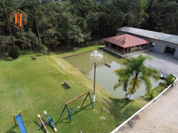 Imagem Imóvel à Venda, 4.000 m² em Borda Do Campo - São José Dos Pinhais