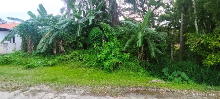Terreno à Venda, 266 m² em Zimbros - Bombinhas