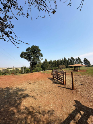 Imagem Chácara à Venda, 26.680 m² em Campinho - Arapongas