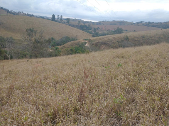 Imagem Chácara à Venda, 20.000 m² em Rio Pardo - Caldas Imagem Chácara à Venda, 20.000 m² em Rio Pardo - Caldas
