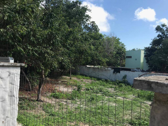 Imagem Terreno à Venda, em Centro Da Praia De Pipa - Tibau Do Sul Imagem Terreno à Venda, em Centro Da Praia De Pipa - Tibau Do Sul