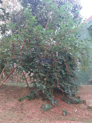 Imagem Casa com 1 Quarto à Venda, 1 m² em Guarulhos