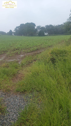 Fazenda à Venda, 20.000 m² em Caeté