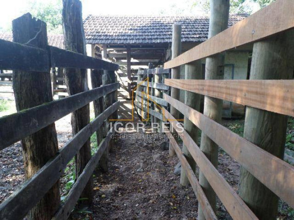 Imagem Fazenda à Venda, 487 m² em Rural - Casimiro De Abreu Imagem Fazenda à Venda, 487 m² em Rural - Casimiro De Abreu
