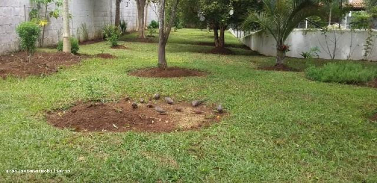 Imagem Chácara à Venda, em Bairro Campininha - São Roque Imagem Chácara à Venda, em Bairro Campininha - São Roque