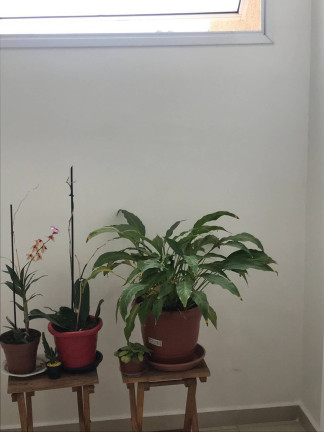 Imagem Apartamento com 2 Quartos à Venda, 50 m² em Vila Odim Antão - Sorocaba Imagem Apartamento com 2 Quartos à Venda, 50 m² em Vila Odim Antão - Sorocaba