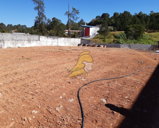 Imagem Terreno à Venda, 3.247 m² em Jardim São Vicente - Cotia Imagem Terreno à Venda, 3.247 m² em Jardim São Vicente - Cotia