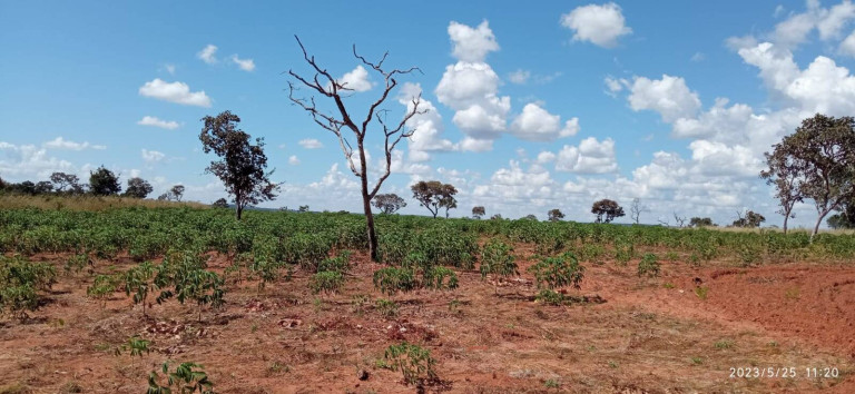 Imagem Chácara com 2 Quartos à Venda, 15 m² em água Fria - Chapada Dos Guimarães Imagem Chácara com 2 Quartos à Venda, 15 m² em água Fria - Chapada Dos Guimarães