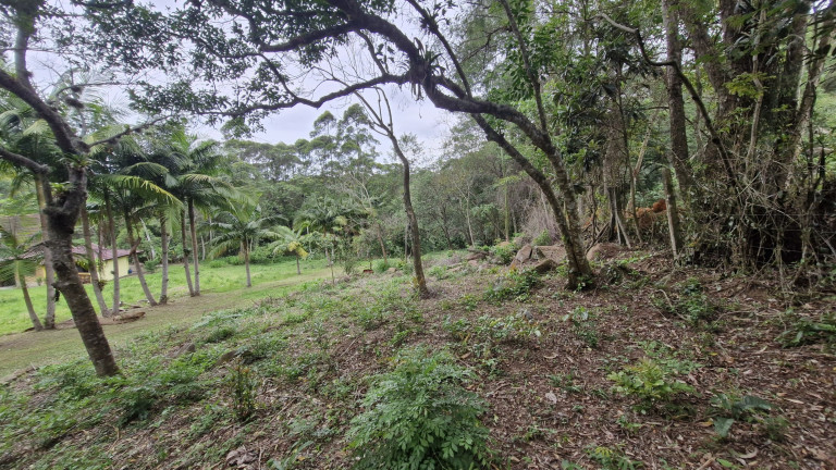 Imagem Terreno à Venda, 1.528 m² em Encantada - Garopaba Imagem Terreno à Venda, 1.528 m² em Encantada - Garopaba