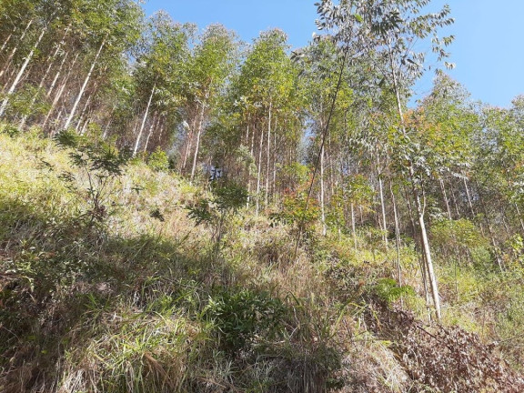 Imagem Fazenda à Venda, 1.100.000 m² em Centro - Paraibuna Imagem Fazenda à Venda, 1.100.000 m² em Centro - Paraibuna