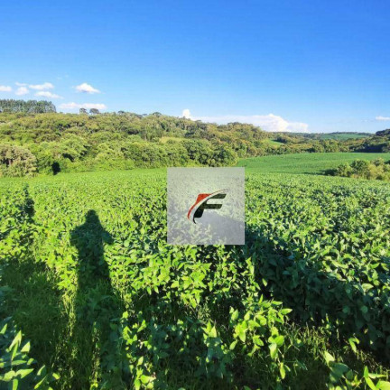 Imagem Imóvel à Venda, 193.600 m² em Centro - Lapa Imagem Imóvel à Venda, 193.600 m² em Centro - Lapa