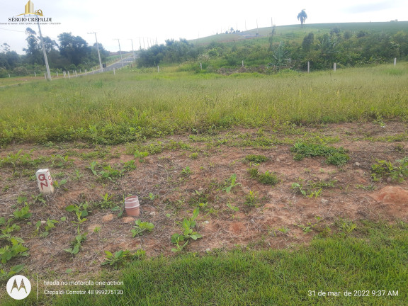 Imagem Terreno à Venda, 360 m² em Primeira Linha - Criciúma Imagem Terreno à Venda, 360 m² em Primeira Linha - Criciúma
