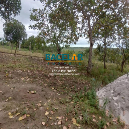 Imagem Imóvel à Venda, em Retiro - Coração De Maria Imagem Imóvel à Venda, em Retiro - Coração De Maria